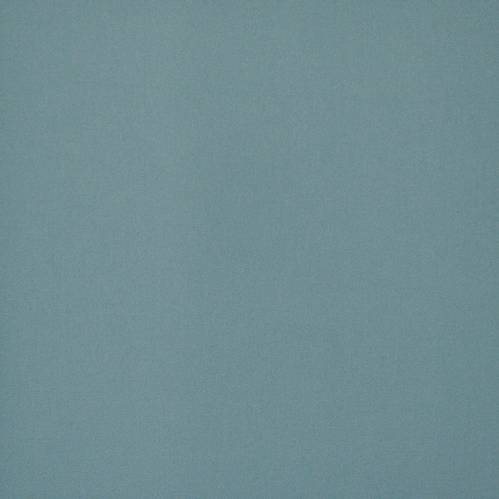 Princeton # 646 Seaspray by Maxwell Fabric PURE & SIMPLE V 100% COTTON DUCK USA </p><p>Repeat: Horizontal: and Vertical: 55" - Fabric Carolina -