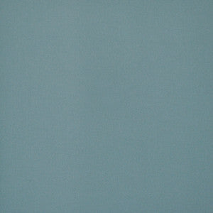 Princeton # 646 Seaspray by Maxwell Fabric