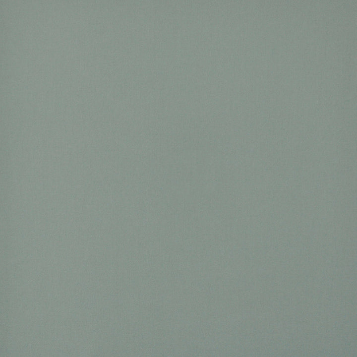 Princeton # 664 Spray by Maxwell Fabric PURE & SIMPLE V 100% COTTON DUCK USA See sample </p><p>Repeat: Horizontal: and Vertical: 55" - Fabric Carolina -