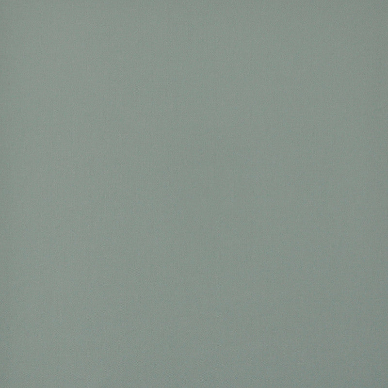 Princeton # 664 Spray by Maxwell Fabric PURE & SIMPLE V 100% COTTON DUCK USA </p><p>Repeat: Horizontal: and Vertical: 55" - Fabric Carolina -