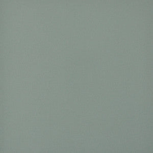 Princeton # 664 Spray by Maxwell Fabric