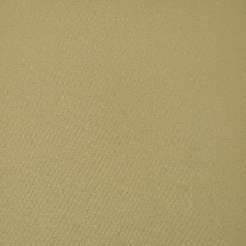 Princeton # 673 Sunshine by Maxwell Fabric PURE & SIMPLE V 100% COTTON DUCK USA </p><p>Repeat: Horizontal: and Vertical: 55" - Fabric Carolina -