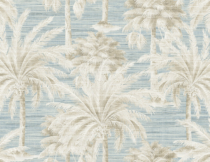 Dream Blue Texture Wallpaper by Kenneth James Palm Springs Covers about 60.8 square feet 27-in by 27-ft long roll Unpasted 21 - Fabric Carolina -