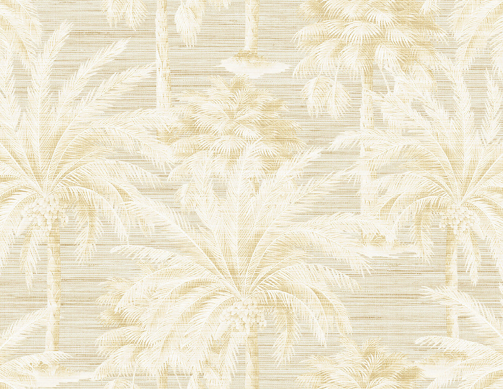 Dream Beige Texture Wallpaper by Kenneth James Palm Springs Covers about 60.8 square feet 27-in by 27-ft long roll Unpasted 21 - Fabric Carolina -
