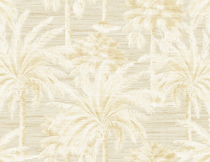 Dream Beige Texture Wallpaper by Kenneth James Palm Springs Covers about 60.8 square feet 27-in by 27-ft long roll Unpasted 21 - Fabric Carolina -