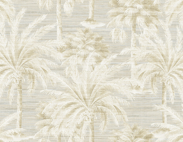 Dream Sand Texture Wallpaper by Kenneth James Palm Springs Covers about 60.8 square feet 27-in by 27-ft long roll Unpasted 21 - Fabric Carolina -