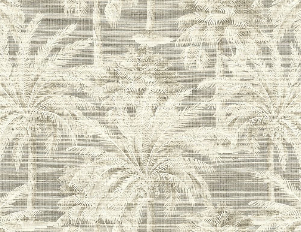 Dream Grey Texture Wallpaper by Kenneth James Palm Springs Covers about 60.8 square feet 27-in by 27-ft long roll Unpasted 21 - Fabric Carolina -