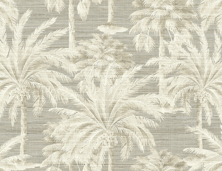 Dream Grey Texture Wallpaper by Kenneth James Palm Springs Covers about 60.8 square feet 27-in by 27-ft long roll Unpasted 21 - Fabric Carolina -