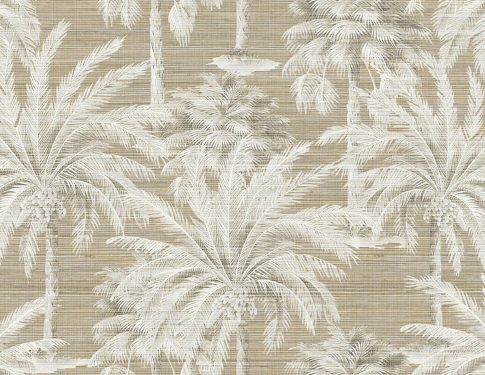Dream Brown Texture Wallpaper by Kenneth James Palm Springs Covers about 60.8 square feet 27-in by 27-ft long roll Unpasted 21 - Fabric Carolina -