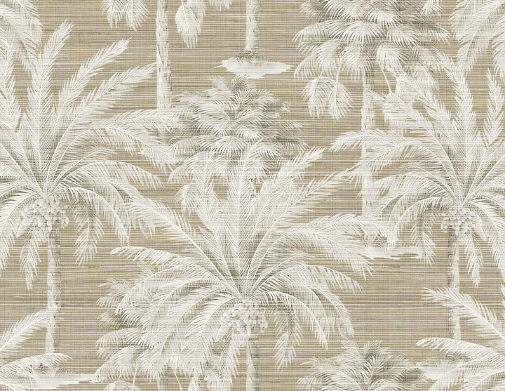 Dream Brown Texture Wallpaper by Kenneth James Palm Springs Covers about 60.8 square feet 27-in by 27-ft long roll Unpasted 21 - Fabric Carolina -