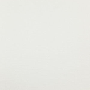 Popular # 09 Ice by Maxwell Fabric