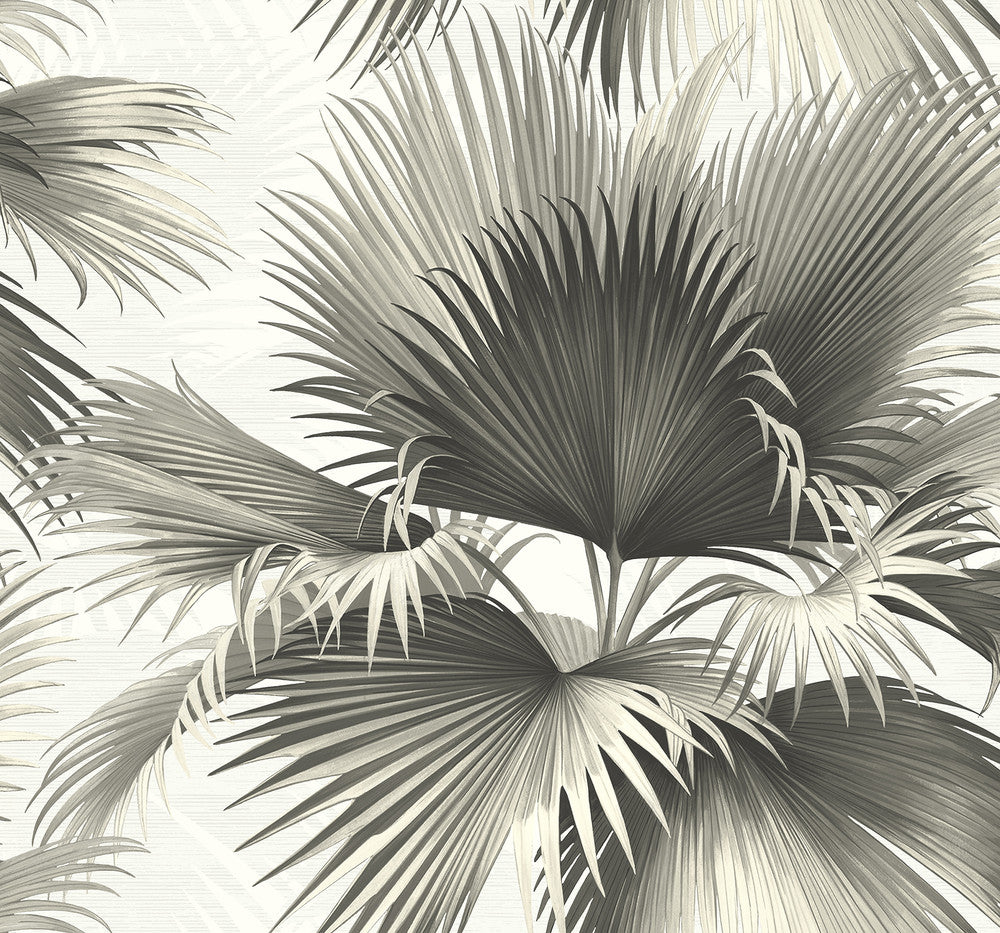 Endless Black Palm Wallpaper by Kenneth James Palm Springs Covers about 60.8 square feet 27-in by 27-ft long roll Unpasted 26.25 - Fabric Carolina -