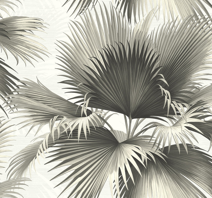 Endless Black Palm Wallpaper by Kenneth James Palm Springs Covers about 60.8 square feet 27-in by 27-ft long roll Unpasted 26.25 - Fabric Carolina -
