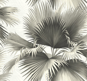 Endless Black Palm Wallpaper by Kenneth James