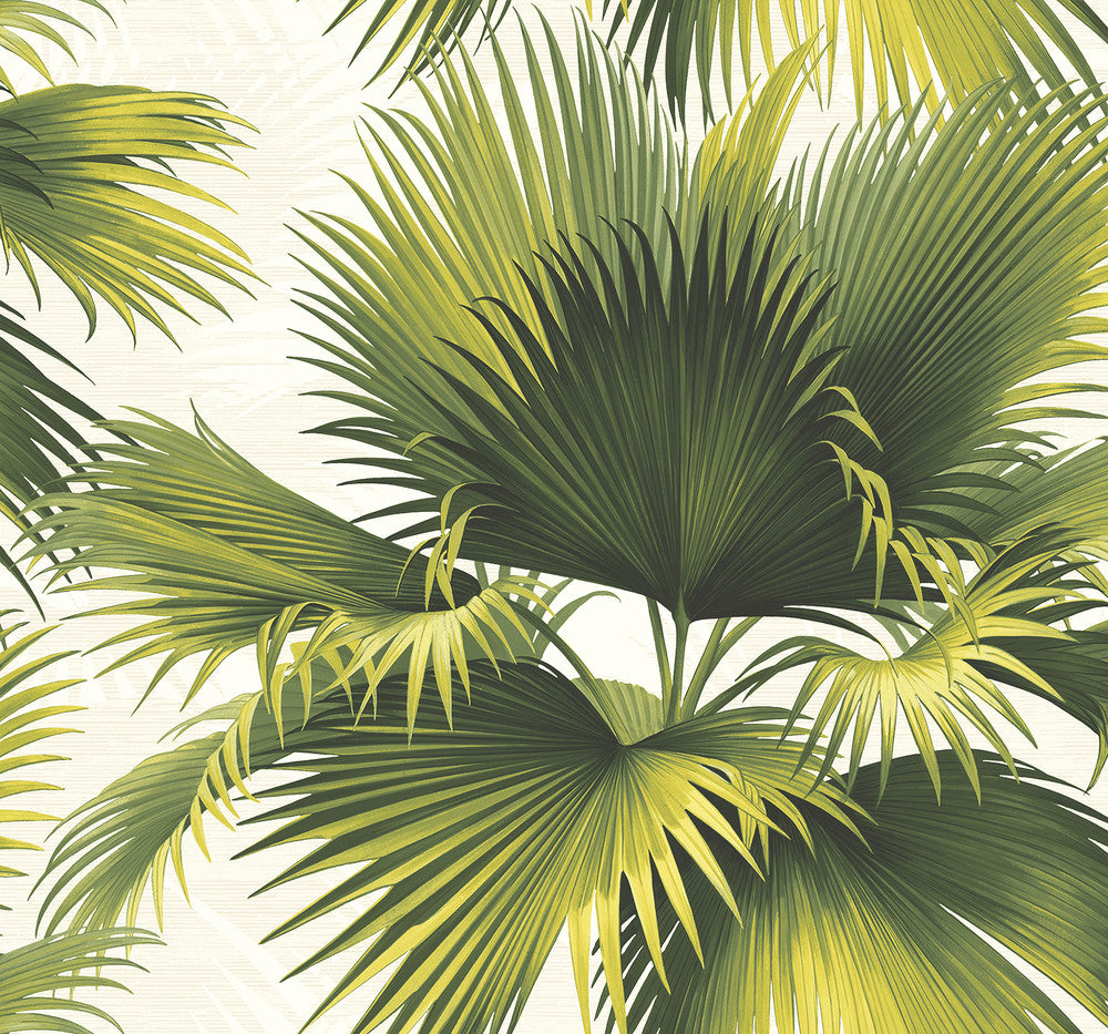 Endless Green Palm Wallpaper by Kenneth James Palm Springs Covers about 60.8 square feet 27-in by 27-ft long roll Unpasted 26.25 - Fabric Carolina -