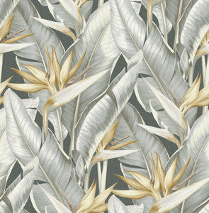 Arcadia Grey Leaf Wallpaper by Kenneth James