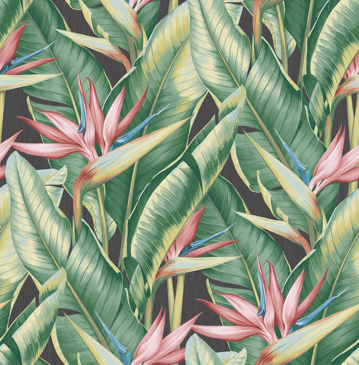 Arcadia Pink Banana Leaf Wallpaper by Kenneth James Palm Springs Covers about 56.4 square feet 20.5-in by 33-ft long roll Unpasted 21 - Fabric Carolina -
