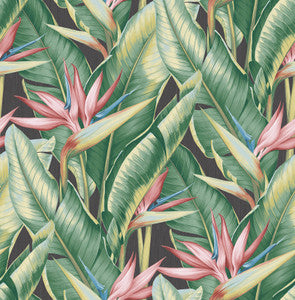 Arcadia Pink Banana Leaf Wallpaper by Kenneth James