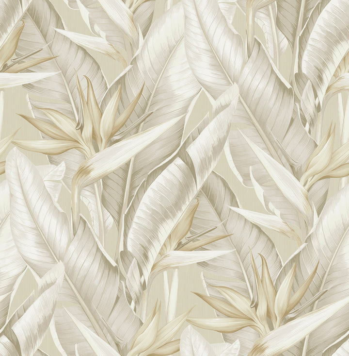 Arcadia Beige Leaf Wallpaper by Kenneth James Palm Springs Covers about 56.4 square feet 20.5-in by 33-ft long roll Unpasted 21 - Fabric Carolina -
