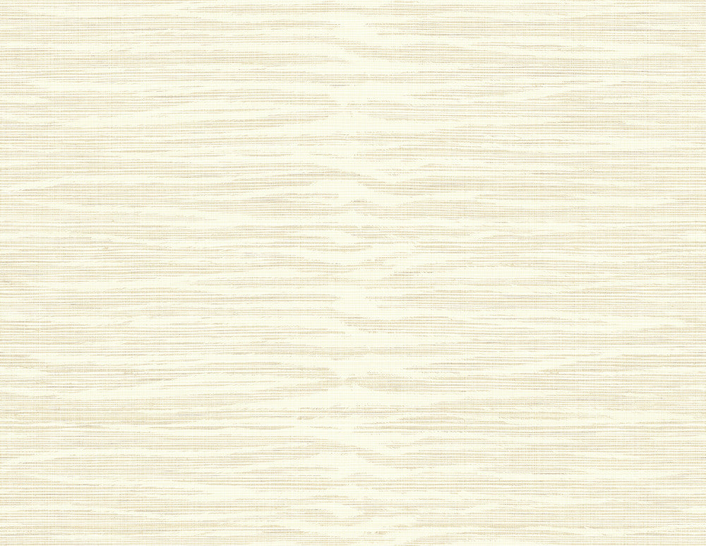 Wild Taupe Taupe Texture Wallpaper by Kenneth James Palm Springs Covers about 60.8 square feet 27-in by 27-ft long roll Unpasted 21 - Fabric Carolina -