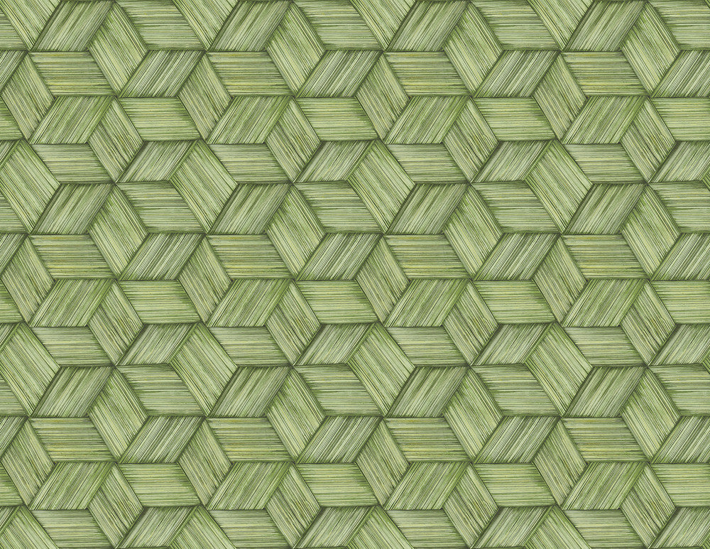 Intertwined Green Geometric Wallpaper by Kenneth James Palm Springs Covers about 60.8 square feet 27-in by 27-ft long roll Unpasted 6.96 - Fabric Carolina -