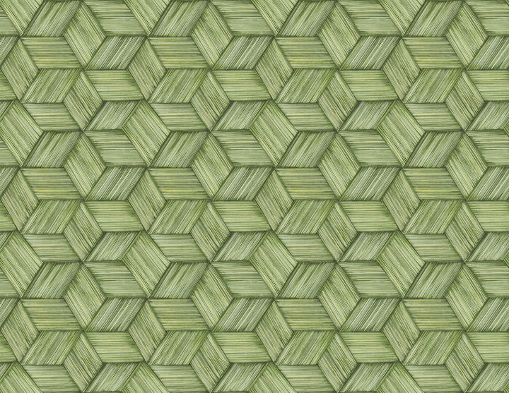 Intertwined Green Geometric Wallpaper by Kenneth James Palm Springs Covers about 60.8 square feet 27-in by 27-ft long roll Unpasted 6.96 - Fabric Carolina -