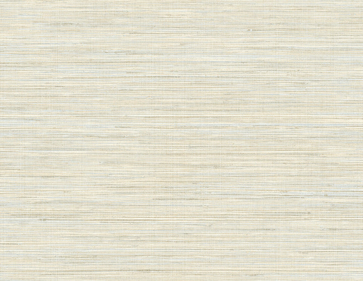 Baja Grass Blue Texture Wallpaper by Kenneth James Palm Springs Covers about 60.8 square feet 27-in by 27-ft long roll Unpasted 21 - Fabric Carolina -