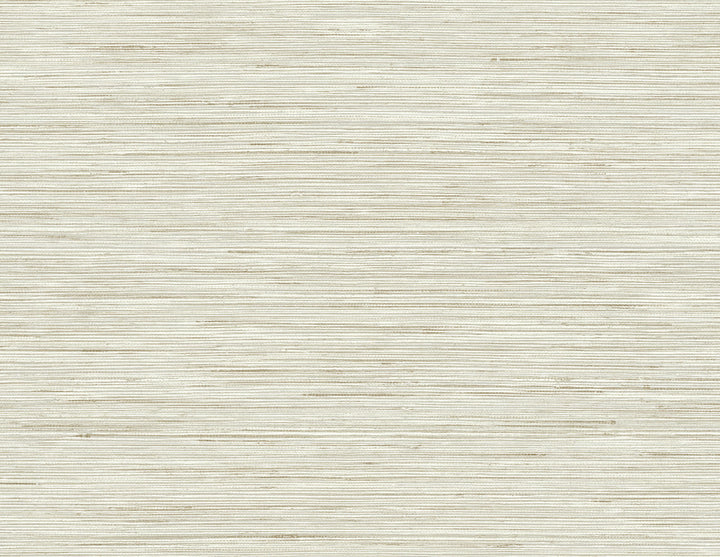Baja Grey Texture Wallpaper by Kenneth James Palm Springs Covers about 60.8 square feet 27-in by 27-ft long roll Unpasted 21 - Fabric Carolina -