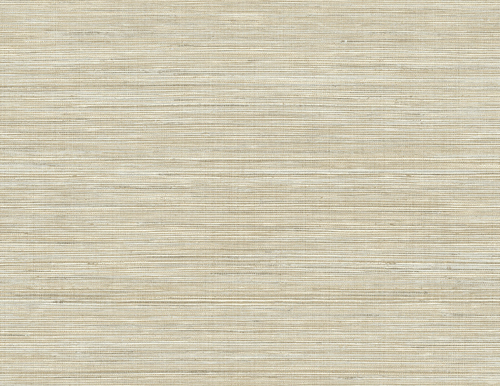 Baja Brown Texture Wallpaper by Kenneth James Palm Springs Covers about 60.8 square feet 27-in by 27-ft long roll Unpasted 21 - Fabric Carolina -