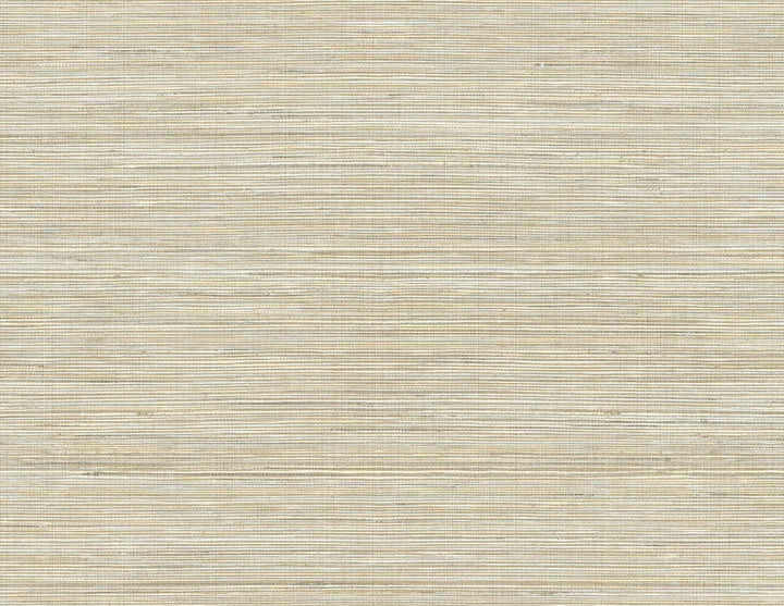 Baja Brown Texture Wallpaper by Kenneth James Palm Springs Covers about 60.8 square feet 27-in by 27-ft long roll Unpasted 21 - Fabric Carolina -