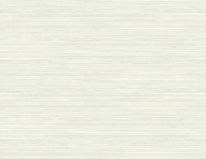 Holiday Grey Texture Wallpaper by Kenneth James Palm Springs Covers about 60.8 square feet 27-in by 27-ft long roll Unpasted 21 - Fabric Carolina -