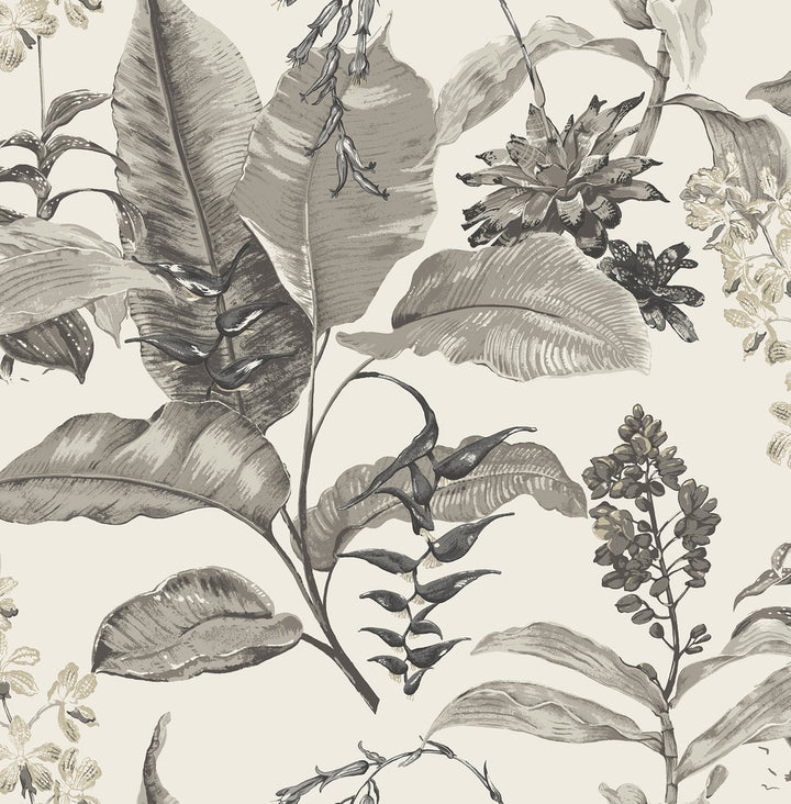 Maui White Botanical Wallpaper by Kenneth James Palm Springs Covers about 56.4 square feet 20.5-in by 33-ft long roll Unpasted 21 - Fabric Carolina -