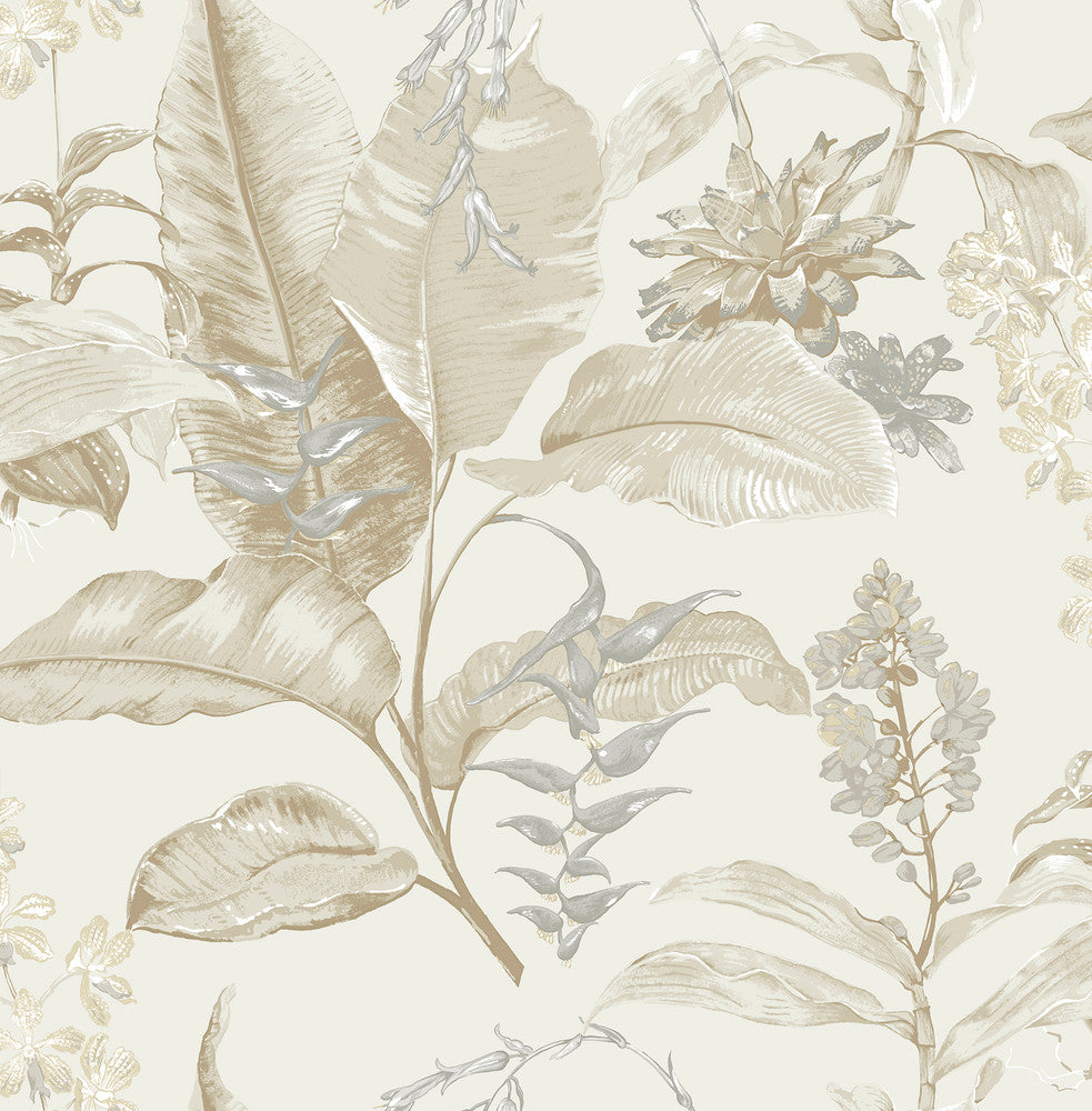Maui Beige Botanical Wallpaper by Kenneth James Palm Springs Covers about 56.4 square feet 20.5-in by 33-ft long roll Unpasted 21 - Fabric Carolina -