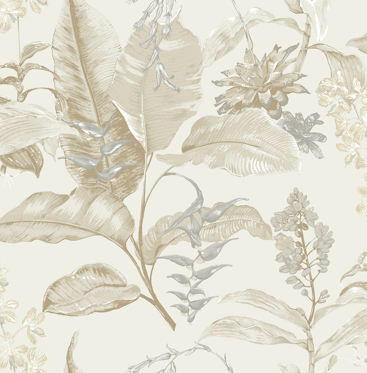 Maui Beige Botanical Wallpaper by Kenneth James Palm Springs Covers about 56.4 square feet 20.5-in by 33-ft long roll Unpasted 21 - Fabric Carolina -