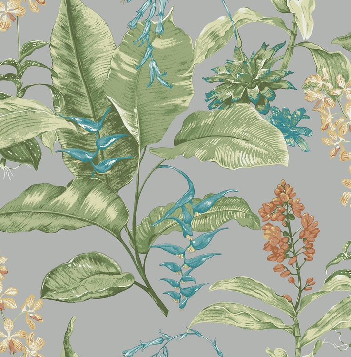Maui Grey Grey Botanical Wallpaper by Kenneth James Palm Springs Covers about 56.4 square feet 20.5-in by 33-ft long roll Unpasted 21 - Fabric Carolina -