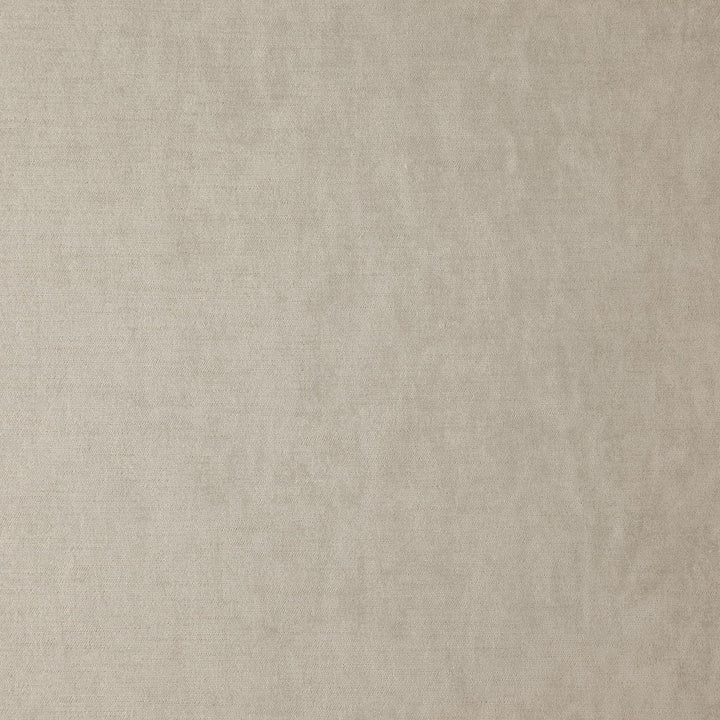 Paddington # 8102 Sesame by Maxwell Fabric CURLED UP IV 100% POLYESTER INDIA </p><p>Repeat: Horizontal: and Vertical: 55" - Fabric Carolina -