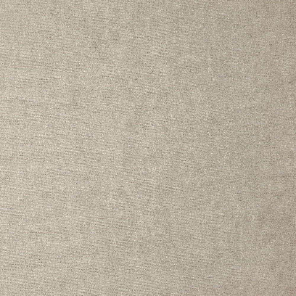 Paddington # 8102 Sesame by Maxwell Fabric CURLED UP IV 100% POLYESTER INDIA See sample </p><p>Repeat: Horizontal: and Vertical: 55" - Fabric Carolina -