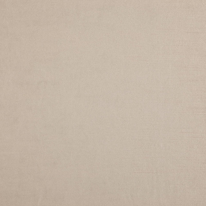 Paddington # 8105 Champagne by Maxwell Fabric CURLED UP IV 100% POLYESTER INDIA See sample </p><p>Repeat: Horizontal: and Vertical: 55" - Fabric Carolina -