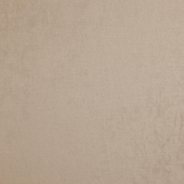 Paddington # 8110 Linen by Maxwell Fabric CURLED UP IV 100% POLYESTER INDIA See sample </p><p>Repeat: Horizontal: and Vertical: 55" - Fabric Carolina -
