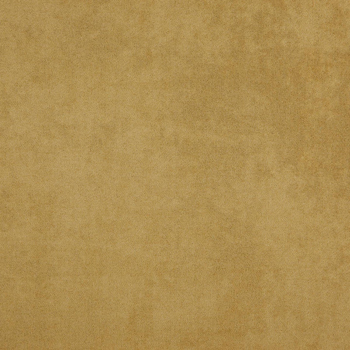 Proud # 854 Gold by Maxwell Fabric CURLED UP IV 95% POLYESTER 5% POLYAMIDE CHINA </p><p>Repeat: Horizontal: and Vertical: 57.5" - Fabric Carolina -