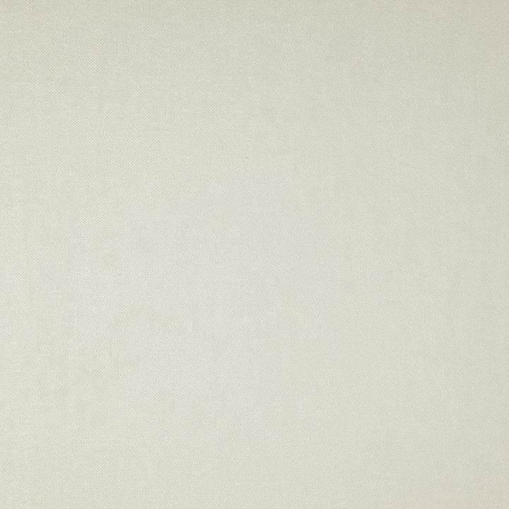 Parkwood # 822 Ice by Maxwell Fabric CURLED UP IV 100% POLYESTER CHINA </p><p>Repeat: Horizontal: and Vertical: 55" - Fabric Carolina -