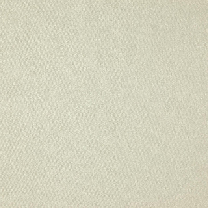 Parkwood # 829 Alabaster by Maxwell Fabric CURLED UP IV 100% POLYESTER CHINA See sample </p><p>Repeat: Horizontal: and Vertical: 55" - Fabric Carolina -