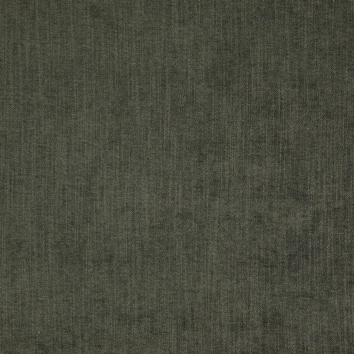 Parkwood # 834 Graphite by Maxwell Fabric CURLED UP IV 100% POLYESTER CHINA See sample </p><p>Repeat: Horizontal: and Vertical: 55" - Fabric Carolina -