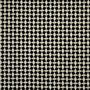 Perspective # 777 Chess by Maxwell Fabric