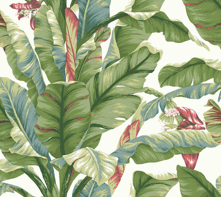 Banana Leaf White & Green Peel & Stick Wallpaper by York Wallcoverings York Premium Peel + Stick Covers about 45 square feet 27-in by 20-ft long roll Peel & Stick 25.25 - Fabric Carolina -