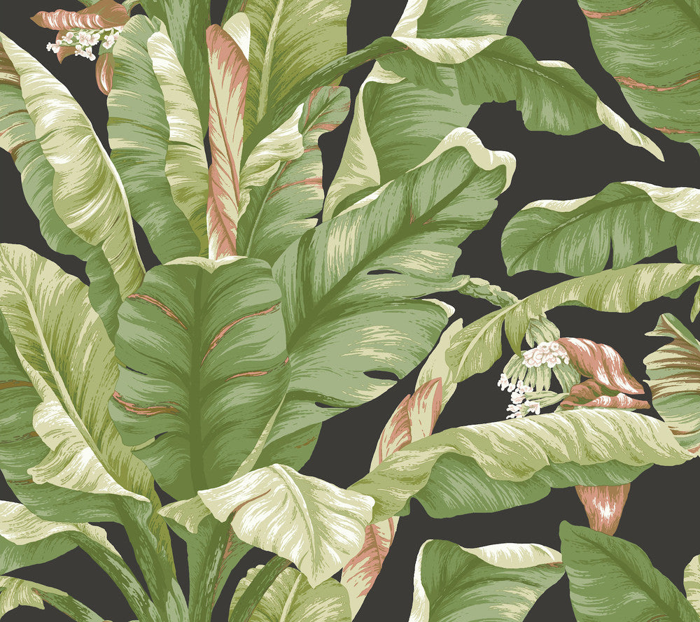 Banana Leaf Black & Green Peel & Stick Wallpaper by York Wallcoverings York Premium Peel + Stick Covers about 45 square feet 27-in by 20-ft long roll Peel & Stick 25.25 - Fabric Carolina -