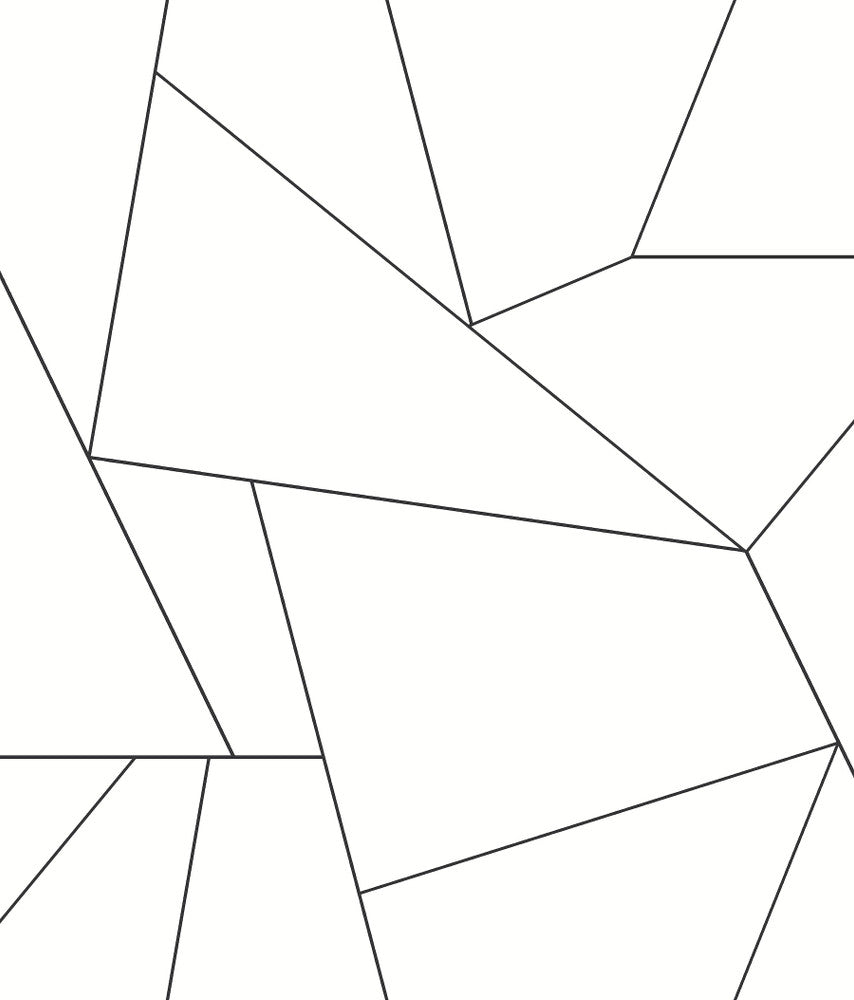 Fractured Prism Black Peel & Stick Wallpaper by York Wallcoverings York Premium Peel + Stick Risky Business Vol. III Covers about 34.2 square feet 20.5-in by 20-ft long roll Peel & Stick 24 - Fabric Carolina -