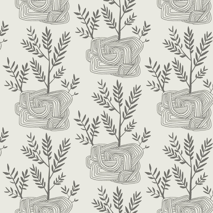 Seedlings Grey Peel & Stick Wallpaper by York Wallcoverings York Premium Peel + Stick Risky Business Vol. III Covers about 34.2 square feet 20.5-in by 20-ft long roll Peel & Stick 5.13 - Fabric Carolina -