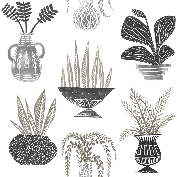 Plant Party Black Peel & Stick Wallpaper by York Wallcoverings York Premium Peel + Stick Risky Business Vol. III Covers about 34.2 square feet 20.5-in by 20-ft long roll Peel & Stick 20.5 - Fabric Carolina -