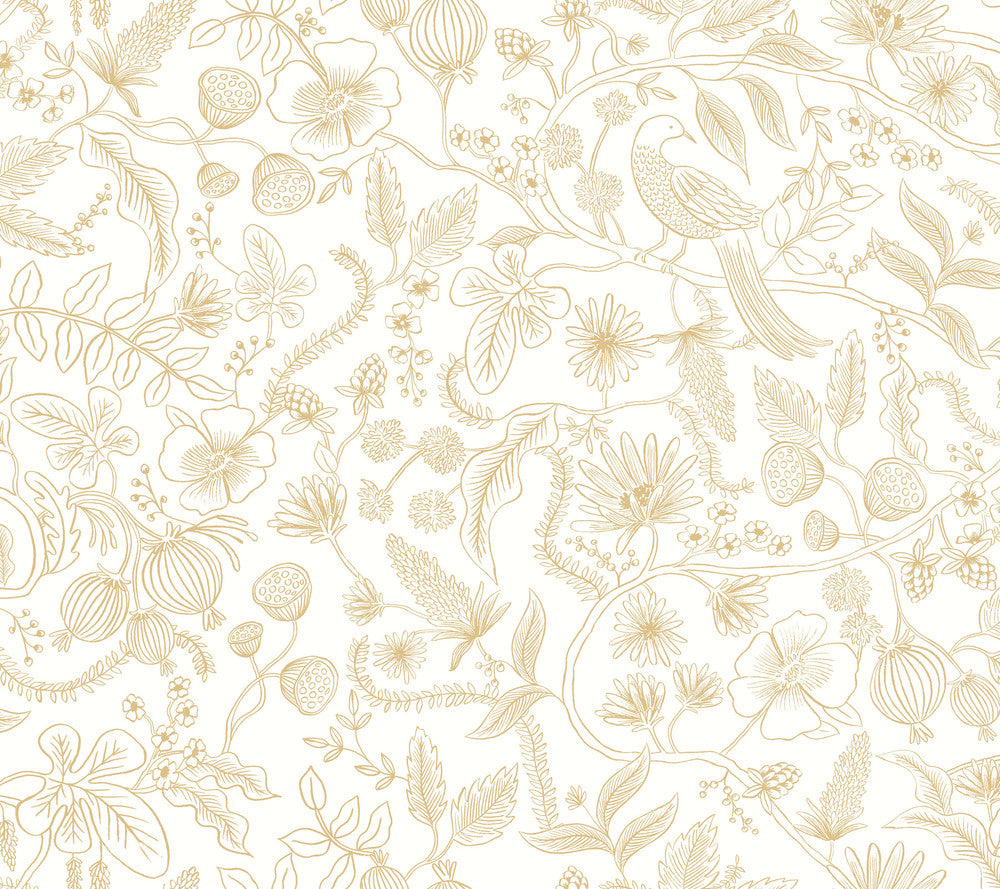Aviary Off White & Gold Peel & Stick Wallpaper by Rifle Paper Co. Rifle Paper Co. Premium Peel & Stick Covers about 45 square feet 27-in by 20-ft long roll Peel & Stick 24 - Fabric Carolina -